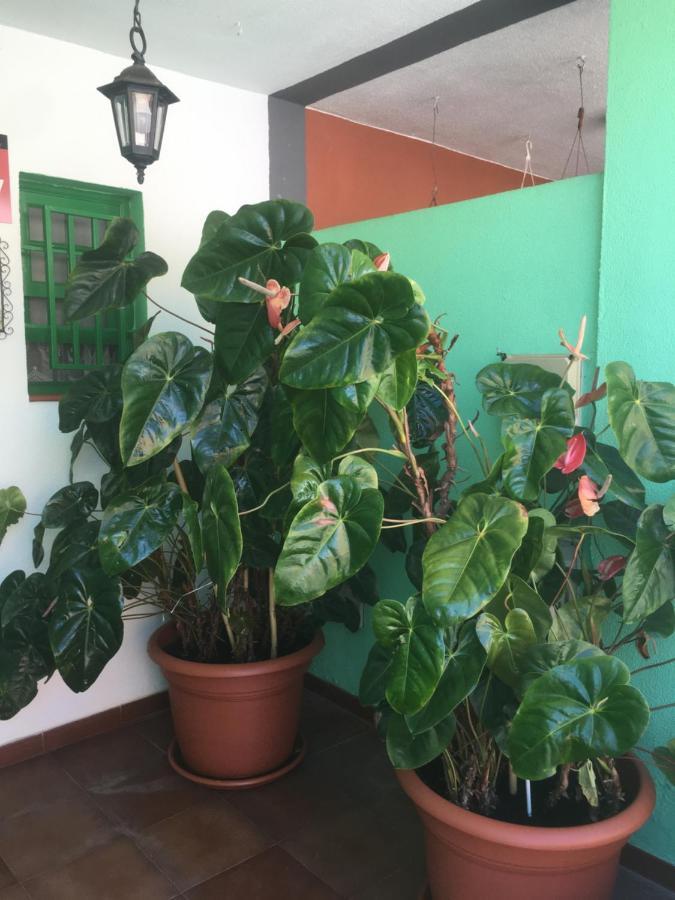 Willa Casa Angeles Santa Cruz de la Palma  Zewnętrze zdjęcie